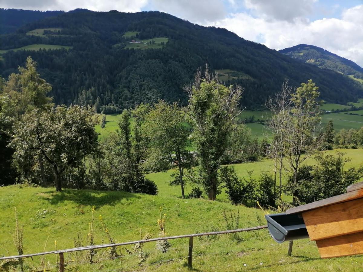Laerchenhaus ,,Unterer Brodl" Villa Sankt Peter am Kammersberg Luaran gambar