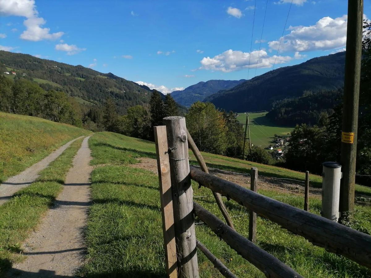 Laerchenhaus ,,Unterer Brodl" Villa Sankt Peter am Kammersberg Luaran gambar