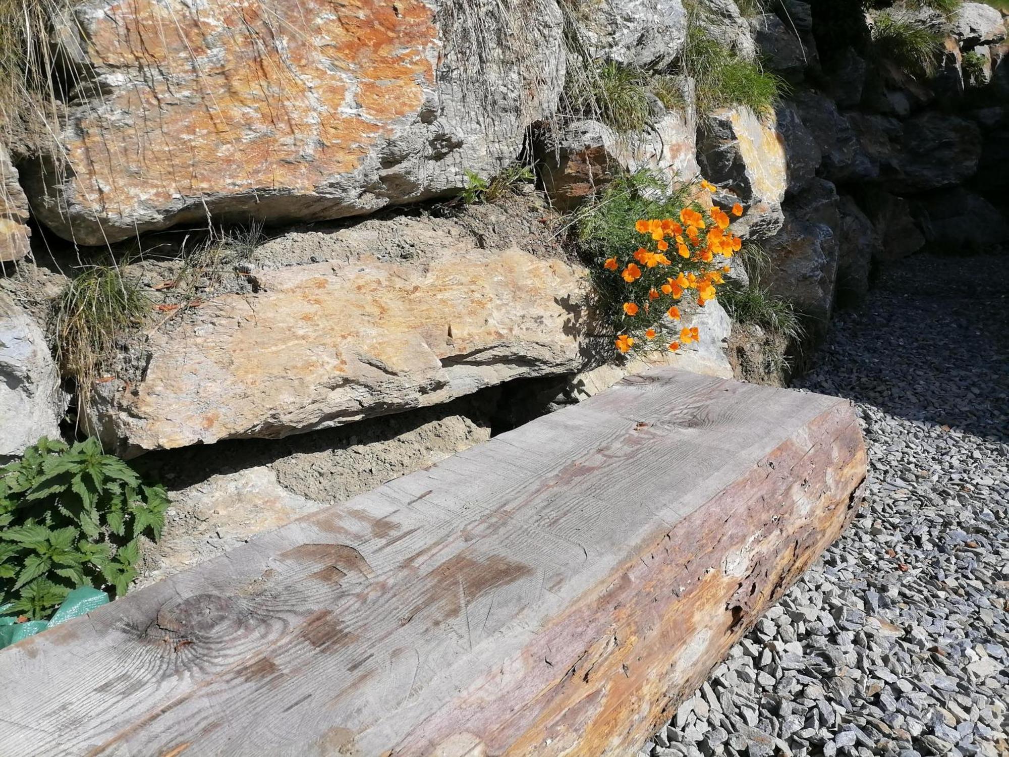 Laerchenhaus ,,Unterer Brodl" Villa Sankt Peter am Kammersberg Luaran gambar