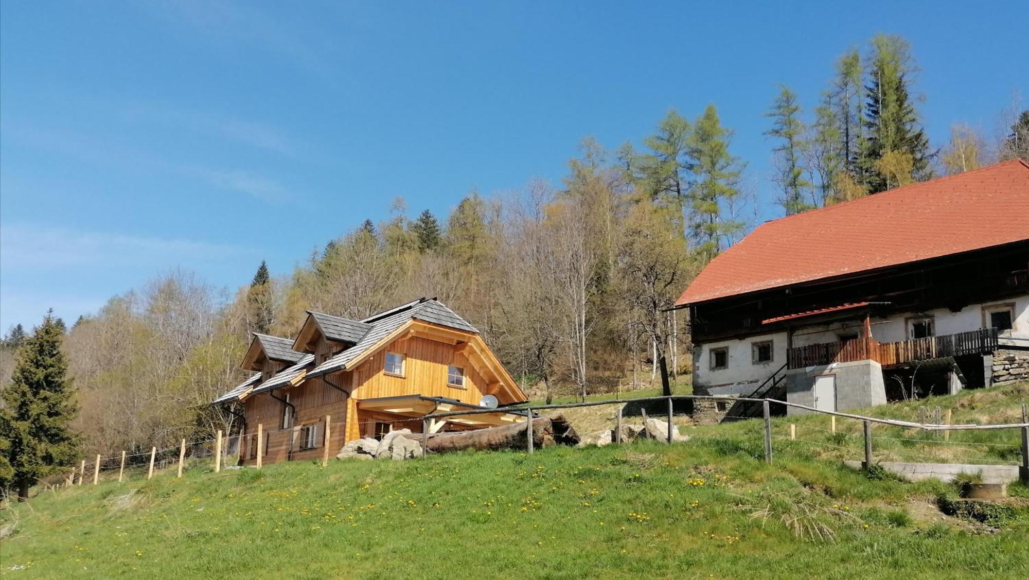 Laerchenhaus ,,Unterer Brodl" Villa Sankt Peter am Kammersberg Luaran gambar