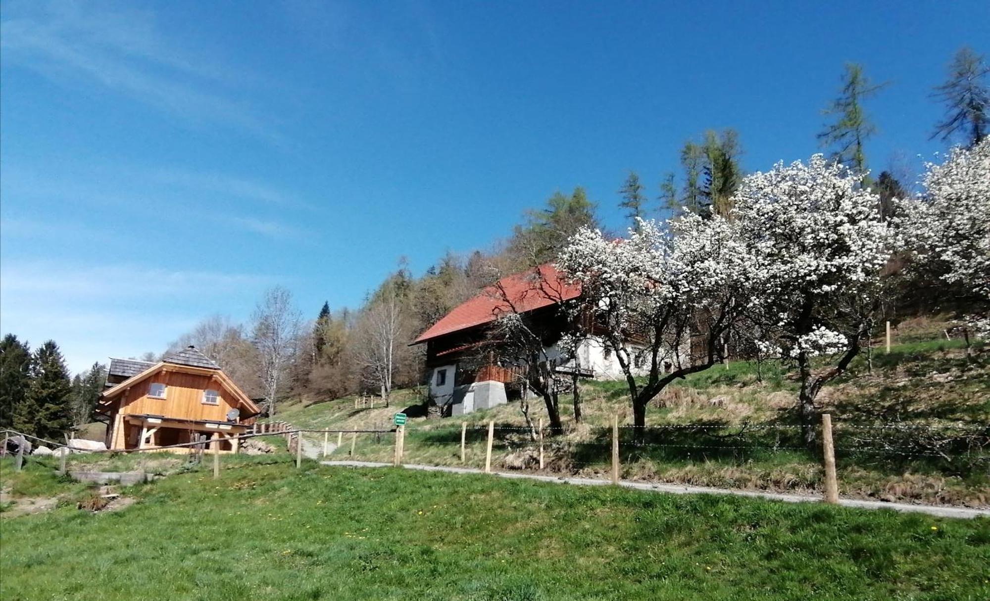 Laerchenhaus ,,Unterer Brodl" Villa Sankt Peter am Kammersberg Luaran gambar