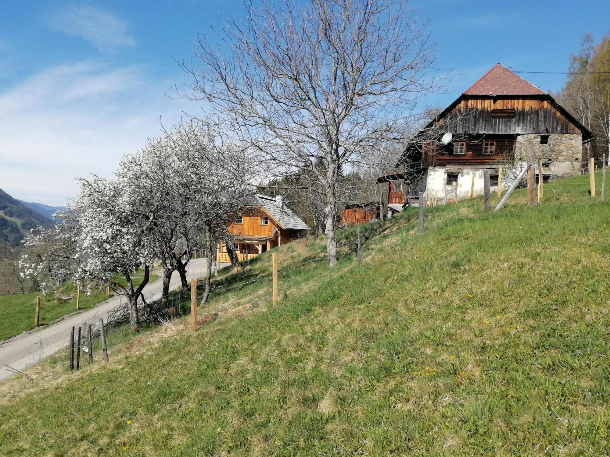 Laerchenhaus ,,Unterer Brodl" Villa Sankt Peter am Kammersberg Luaran gambar