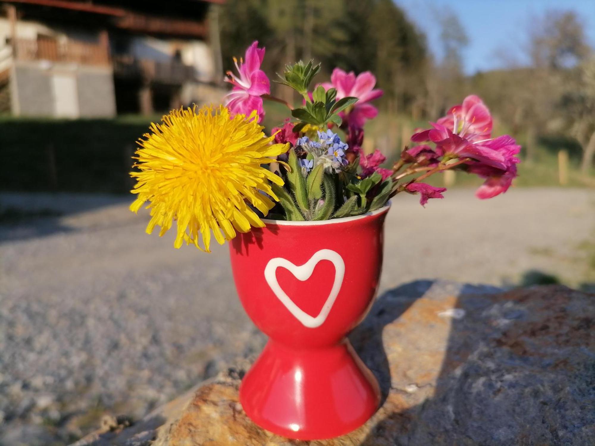 Laerchenhaus ,,Unterer Brodl" Villa Sankt Peter am Kammersberg Luaran gambar